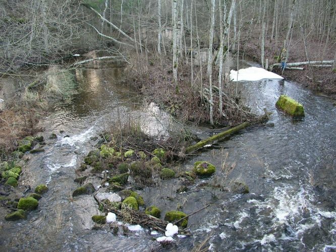 Maakond: Tartumaa Veekogu nimi: Rõngu jõgi Pildistamise aeg: 9. detsember 2007 Pildistaja: H. Timm Pildistamise koht: Lõve pais Asimuut: