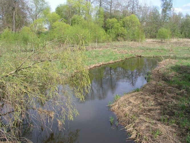 Maakond: Tartumaa Veekogu nimi: Rõngu jõgi Pildistamise aeg: 16. august 2009 Pildistaja: H. Timm Pildistamise koht: Lõvel ülalpool paisu Asimuut: