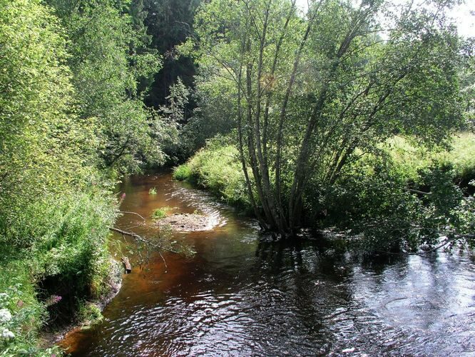 Maakond: Tartumaa Veekogu nimi: Rõngu jõgi Pildistamise aeg: 16. august 2009 Pildistaja: H. Timm Pildistamise koht: Kõrgemäe sillalt Asimuut: