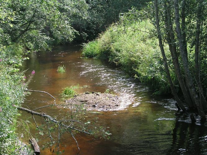 Maakond: Tartumaa Veekogu nimi: Rõngu jõgi Pildistamise aeg: 16. august 2009 Pildistaja: H. Timm Pildistamise koht: Kõrgemäe sillalt Asimuut: