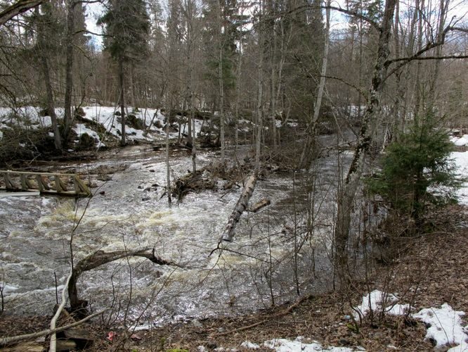 Maakond: Tartumaa Veekogu nimi: Rõngu jõgi Pildistamise aeg: 10. aprill 2011 Pildistaja: H. Timm Pildistamise koht: Lõve Asimuut: