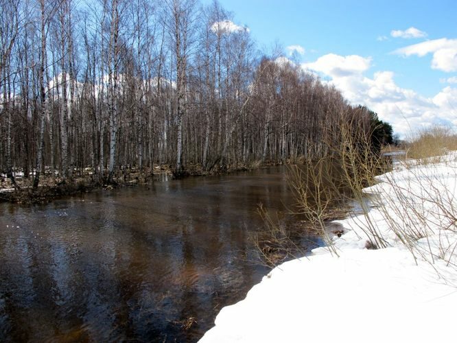 Maakond: Tartumaa Veekogu nimi: Rõngu jõgi Pildistamise aeg: 10. aprill 2011 Pildistaja: H. Timm Pildistamise koht: alamjooks Asimuut: