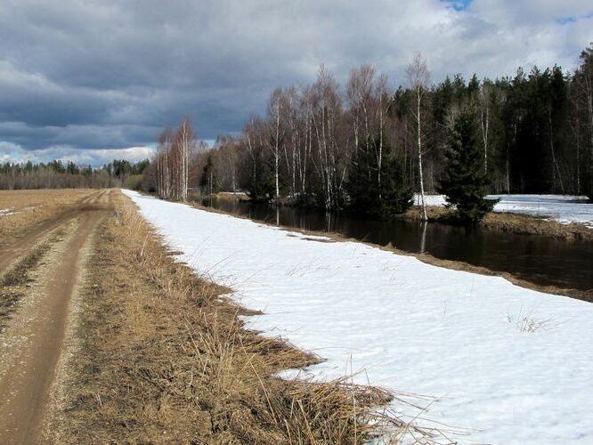 Maakond: Tartumaa Veekogu nimi: Rõngu jõgi Pildistamise aeg: 10. aprill 2011 Pildistaja: H. Timm Pildistamise koht: alamjooks Asimuut: