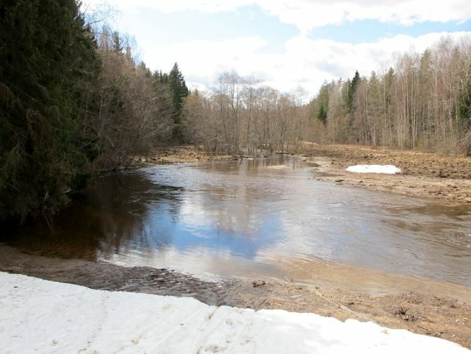 Maakond: Tartumaa Veekogu nimi: Rõngu jõgi Pildistamise aeg: 10. aprill 2011 Pildistaja: H. Timm Pildistamise koht: Kõrgemäe Asimuut: