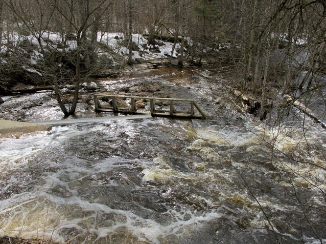 Maakond: Tartumaa Veekogu nimi: Rõngu jõgi Pildistamise aeg: 10. aprill 2011 Pildistaja: H. Timm Pildistamise koht: Lõve Asimuut: