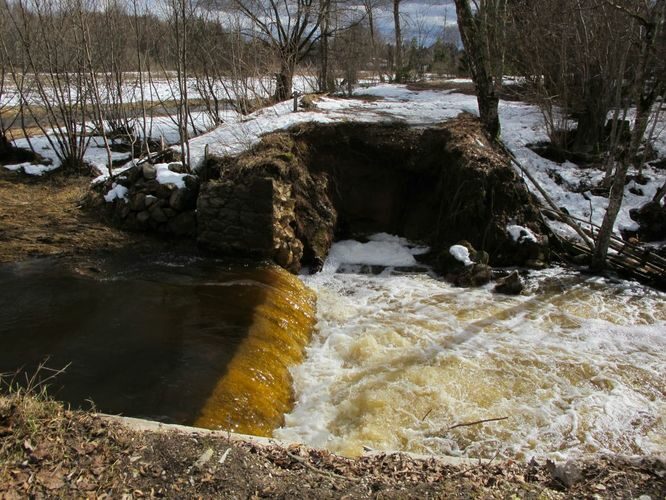 Maakond: Tartumaa Veekogu nimi: Rõngu jõgi Pildistamise aeg: 10. aprill 2011 Pildistaja: H. Timm Pildistamise koht: Lõve Asimuut: