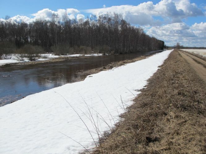 Maakond: Tartumaa Veekogu nimi: Rõngu jõgi Pildistamise aeg: 10. aprill 2011 Pildistaja: H. Timm Pildistamise koht: alamjooks Asimuut: