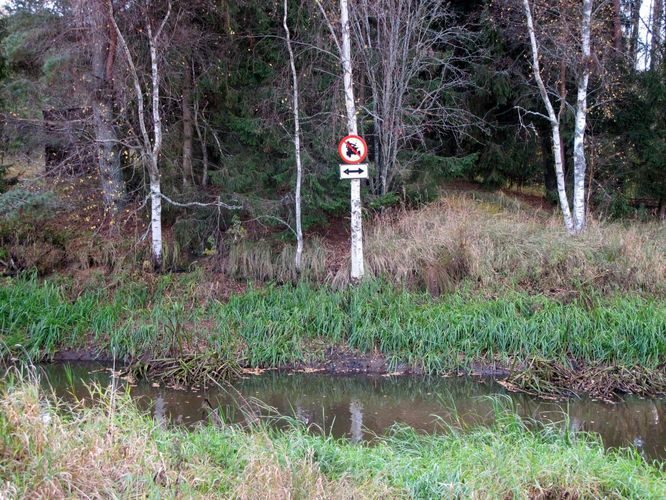 Maakond: Tartumaa Veekogu nimi: Rõngu jõgi Pildistamise aeg: 16. oktoober 2011 Pildistaja: H. Timm Pildistamise koht: alamjooks Asimuut: