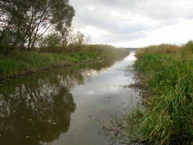 Maakond: Tartumaa Veekogu nimi: Rõngu jõgi Pildistamise aeg: 16. oktoober 2011 Pildistaja: H. Timm Pildistamise koht: alamjooks Asimuut: