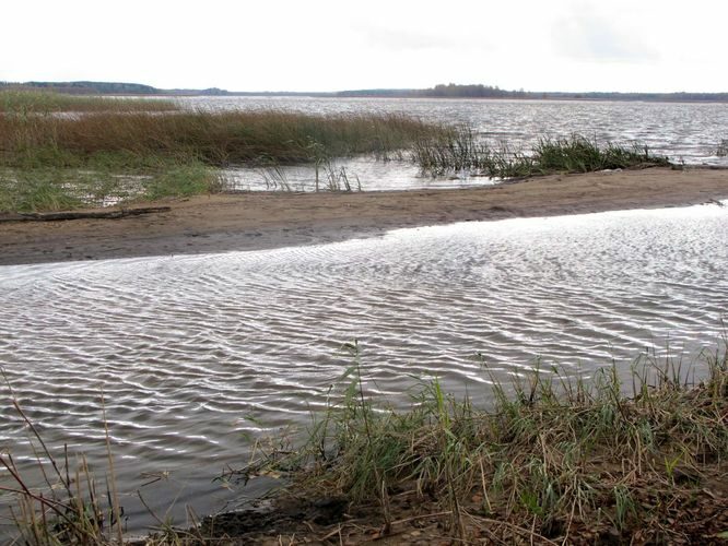 Maakond: Tartumaa Veekogu nimi: Rõngu jõgi Pildistamise aeg: 16. oktoober 2011 Pildistaja: H. Timm Pildistamise koht: alamjooks Asimuut: