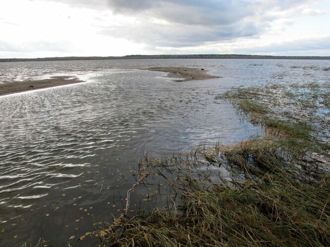 Maakond: Tartumaa Veekogu nimi: Rõngu jõgi Pildistamise aeg: 16. oktoober 2011 Pildistaja: H. Timm Pildistamise koht: alamjooks Asimuut: