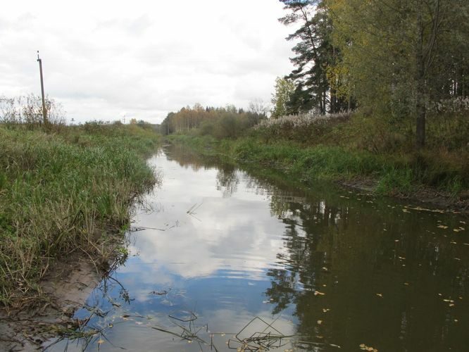 Maakond: Tartumaa Veekogu nimi: Rõngu jõgi Pildistamise aeg: 16. oktoober 2011 Pildistaja: H. Timm Pildistamise koht: alamjooks Asimuut: