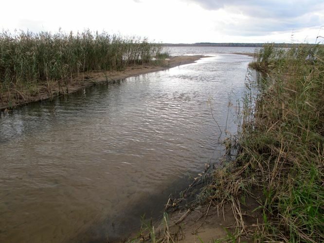 Maakond: Tartumaa Veekogu nimi: Rõngu jõgi Pildistamise aeg: 16. oktoober 2011 Pildistaja: H. Timm Pildistamise koht: alamjooks Asimuut: