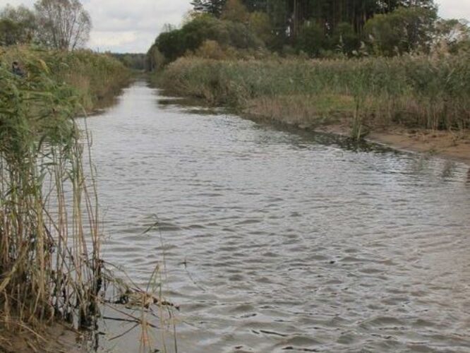 Maakond: Tartumaa Veekogu nimi: Rõngu jõgi Pildistamise aeg: 16. oktoober 2011 Pildistaja: H. Timm Pildistamise koht: alamjooks Asimuut: