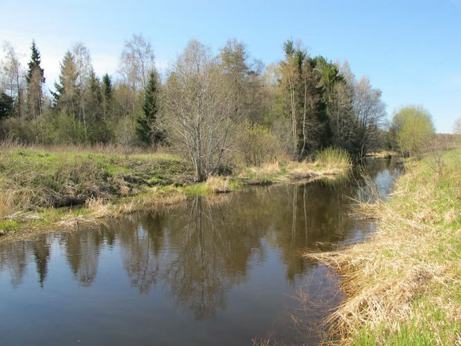 Maakond: Tartumaa Veekogu nimi: Rõngu jõgi Pildistamise aeg: 2. mai 2012 Pildistaja: H. Timm Pildistamise koht: poldril Asimuut: