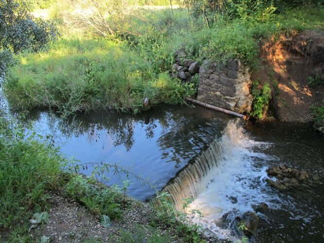 Maakond: Tartumaa Veekogu nimi: Rõngu jõgi Pildistamise aeg: 1. august 2012 Pildistaja: H. Timm Pildistamise koht: Lõve Asimuut: