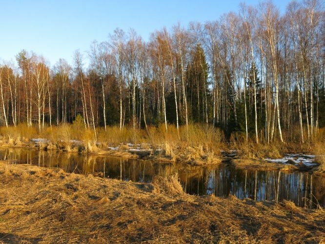 Maakond: Tartumaa Veekogu nimi: Rõngu jõgi Pildistamise aeg: 21. aprill 2013 Pildistaja: H. Timm Pildistamise koht: alamjooks Asimuut: