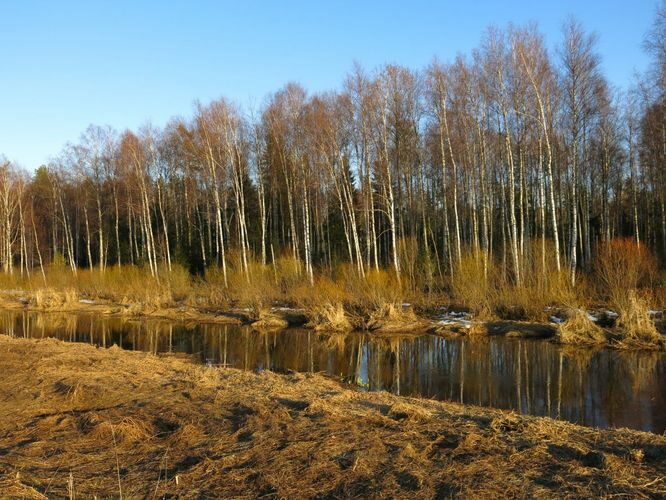 Maakond: Tartumaa Veekogu nimi: Rõngu jõgi Pildistamise aeg: 21. aprill 2013 Pildistaja: H. Timm Pildistamise koht: alamjooks Asimuut: