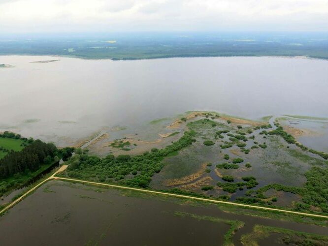 Maakond: Tartumaa Veekogu nimi: Rõngu jõgi Pildistamise aeg: 29. mai 2013 Pildistaja: H. Timm Pildistamise koht: aerofoto Asimuut: