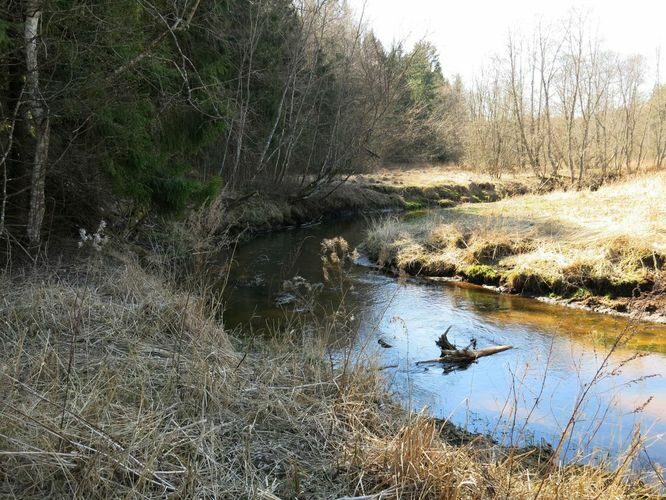 Maakond: Tartumaa Veekogu nimi: Rõngu jõgi Pildistamise aeg: 20. aprill 2014 Pildistaja: H. Timm Pildistamise koht: Kõrgemäe Asimuut: