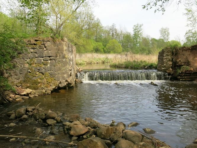 Maakond: Tartumaa Veekogu nimi: Rõngu jõgi Pildistamise aeg: 18. mai 2014 Pildistaja: H. Timm Pildistamise koht: Lõve Asimuut: