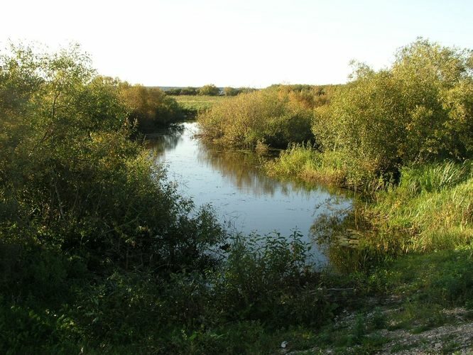 Maakond: Tartumaa Veekogu nimi: Rõngu jõgi ja Võrtsjärv Pildistamise aeg: 20. september 2009 Pildistaja: H. Timm Pildistamise koht: teadmata Asimuut: