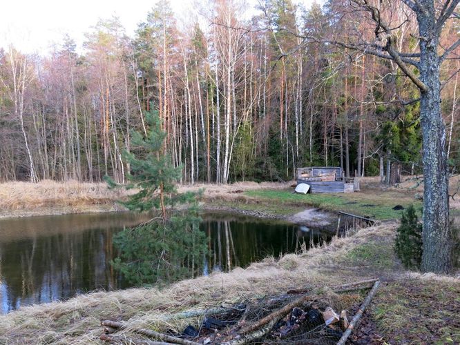 Maakond: Tartumaa Veekogu nimi: Roosimäe talu tiik Pildistamise aeg: 25. detsember 2013 Pildistaja: H. Timm Pildistamise koht: teadmata Asimuut: