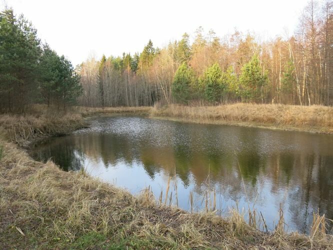 Maakond: Tartumaa Veekogu nimi: Roosimäe talu tiik Pildistamise aeg: 25. detsember 2013 Pildistaja: H. Timm Pildistamise koht: teadmata Asimuut: