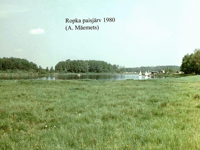 Maakond: Tartumaa Veekogu nimi: Ropka paisjärv Pildistamise aeg: 1980 Pildistaja: A. Mäemets Pildistamise koht: K Asimuut: