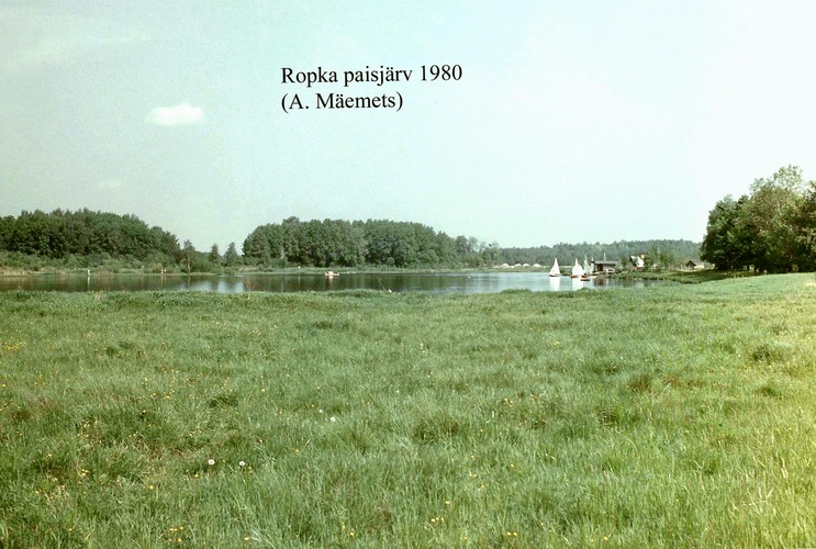 Maakond: Tartumaa Veekogu nimi: Ropka paisjärv Pildistamise aeg: 1980 Pildistaja: A. Mäemets Pildistamise koht: K Asimuut: