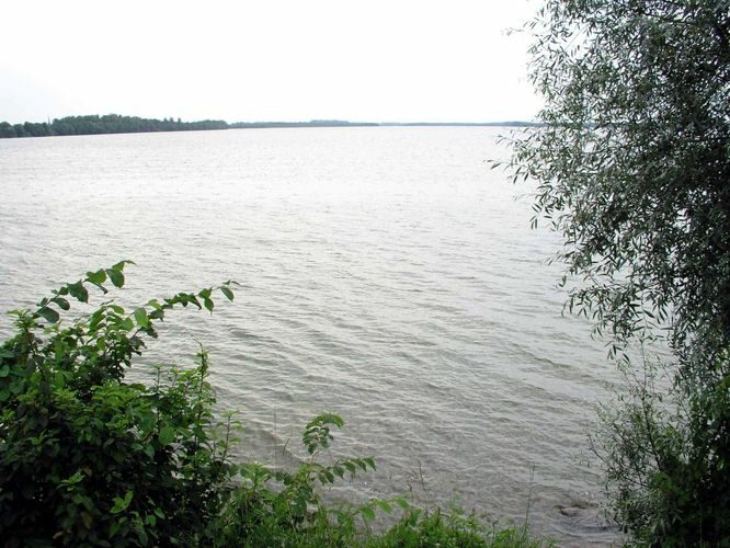 Maakond: Tartumaa Veekogu nimi: Saadjärv Pildistamise aeg: 22. juuli 2004 Pildistaja: H. Timm Pildistamise koht: looduskooli maja juurest Asimuut: