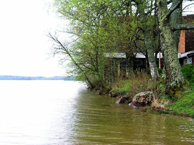 Maakond: Tartumaa Veekogu nimi: Saadjärv Pildistamise aeg: 18. mai 2005 Pildistaja: H. Timm Pildistamise koht: Kalda rand Asimuut: