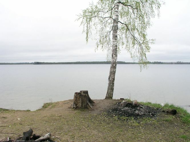 Maakond: Tartumaa Veekogu nimi: Saadjärv Pildistamise aeg: 18. mai 2005 Pildistaja: H. Timm Pildistamise koht: Kalda rand Asimuut: