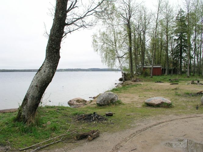 Maakond: Tartumaa Veekogu nimi: Saadjärv Pildistamise aeg: 18. mai 2005 Pildistaja: H. Timm Pildistamise koht: Kalda rand Asimuut: