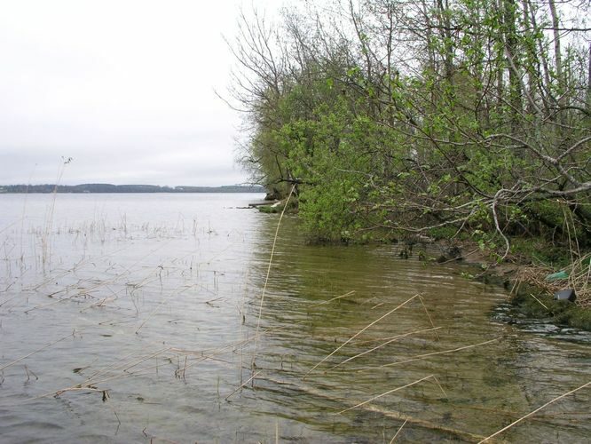 Maakond: Tartumaa Veekogu nimi: Saadjärv Pildistamise aeg: 18. mai 2005 Pildistaja: H. Timm Pildistamise koht: Kalda rand Asimuut: