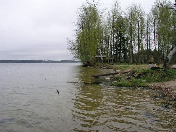 Maakond: Tartumaa Veekogu nimi: Saadjärv Pildistamise aeg: 18. mai 2005 Pildistaja: H. Timm Pildistamise koht: Kalda rand Asimuut: