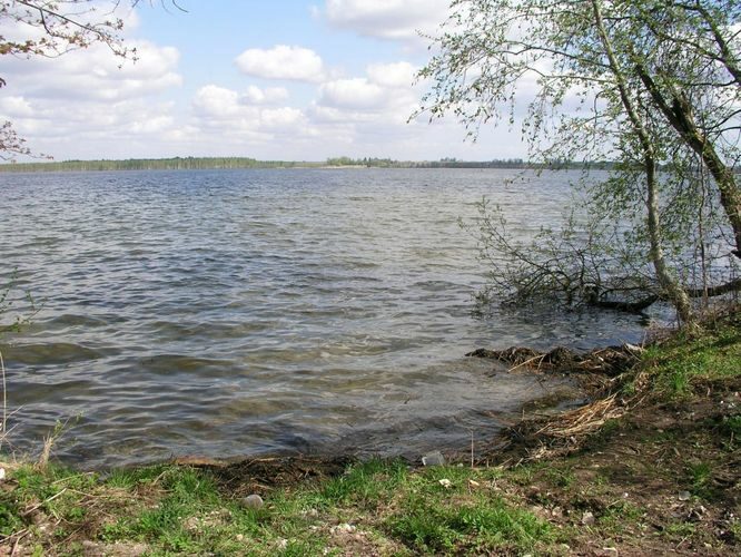 Maakond: Tartumaa Veekogu nimi: Saadjärv Pildistamise aeg: 11. mai 2006 Pildistaja: H. Timm Pildistamise koht: Kalda rand Asimuut: