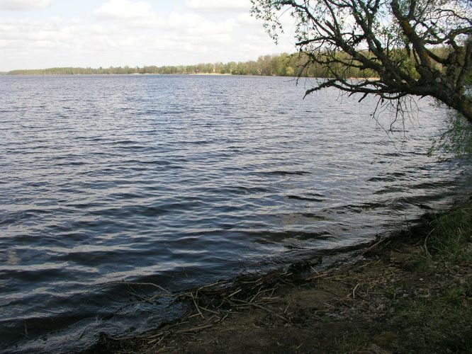 Maakond: Tartumaa Veekogu nimi: Saadjärv Pildistamise aeg: 11. mai 2006 Pildistaja: H. Timm Pildistamise koht: Kukulinna Asimuut: