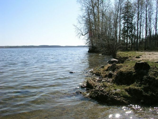 Maakond: Tartumaa Veekogu nimi: Saadjärv Pildistamise aeg: 27. mai 2009 Pildistaja: H. Timm Pildistamise koht: Kalda rand Asimuut: