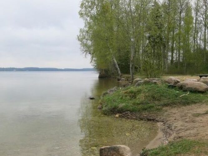 Maakond: Tartumaa Veekogu nimi: Saadjärv Pildistamise aeg: 8. mai 2014 Pildistaja: H. Timm Pildistamise koht: Kalda rand Asimuut: