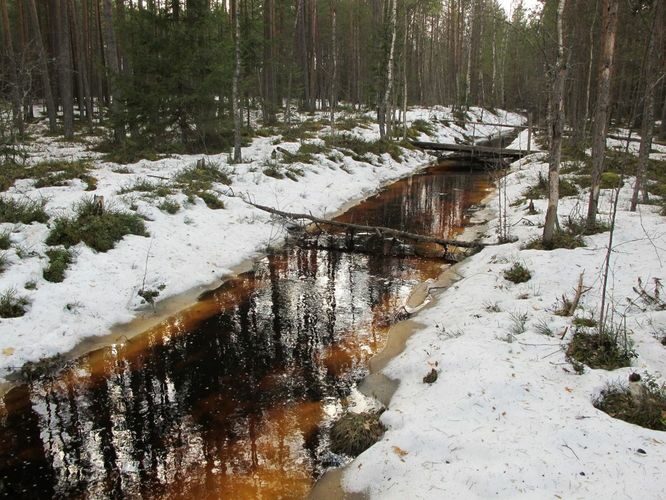 Maakond: Tartumaa Veekogu nimi: Sapi-Lulli raba kraav Pildistamise aeg: 1. aprill 2010 Pildistaja: H. Timm Pildistamise koht: teadmata Asimuut: