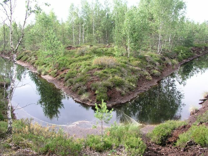 Maakond: Tartumaa Veekogu nimi: Sapi-Lulli turbavälja kraav Pildistamise aeg: 7. juuli 2007 Pildistaja: H. Timm Pildistamise koht: teadmata Asimuut: