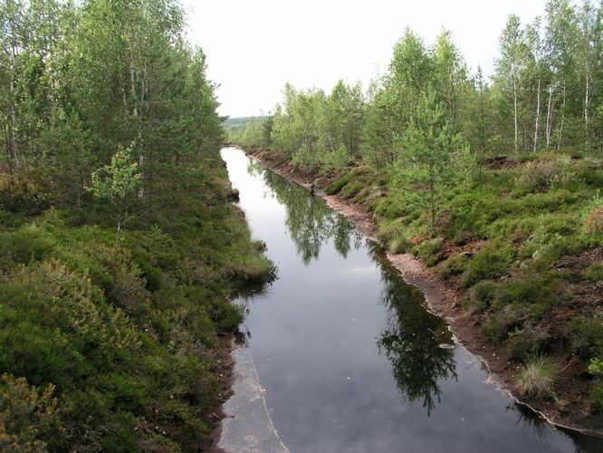 Maakond: Tartumaa Veekogu nimi: Sapi-Lulli turbavälja kraav Pildistamise aeg: 7. juuli 2007 Pildistaja: H. Timm Pildistamise koht: teadmata Asimuut: