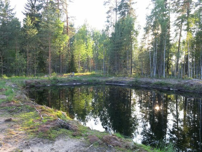 Maakond: Tartumaa Veekogu nimi: Sauli teeristi tiik Pildistamise aeg: 30. juuni 2013 Pildistaja: H. Timm Pildistamise koht: teadmata Asimuut: