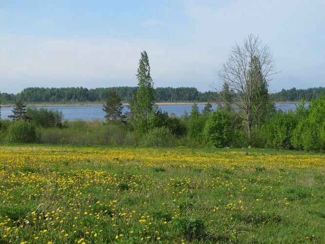 Maakond: Tartumaa Veekogu nimi: Soitsjärv Pildistamise aeg: 20. mai 2011 Pildistaja: H. Timm Pildistamise koht: teadmata Asimuut: