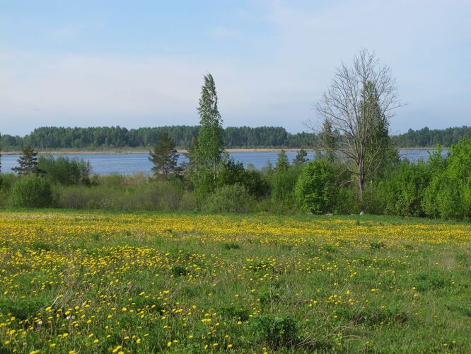 Maakond: Tartumaa Veekogu nimi: Soitsjärv Pildistamise aeg: 20. mai 2011 Pildistaja: H. Timm Pildistamise koht: teadmata Asimuut: