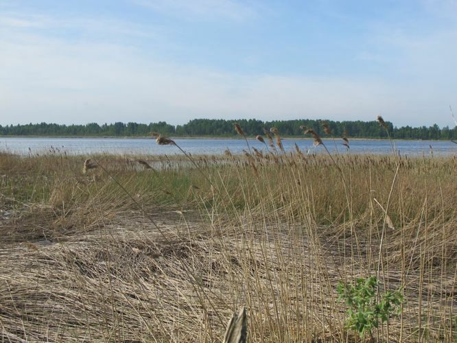 Maakond: Tartumaa Veekogu nimi: Soitsjärv Pildistamise aeg: 20. mai 2011 Pildistaja: H. Timm Pildistamise koht: teadmata Asimuut: