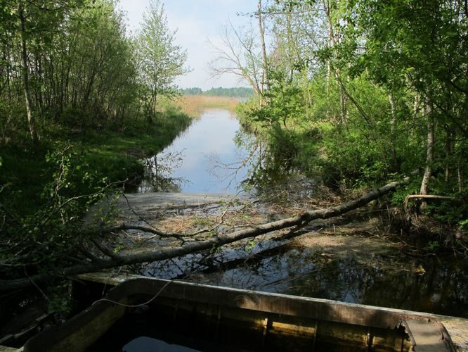 Maakond: Tartumaa Veekogu nimi: Soitsjärv Pildistamise aeg: 20. mai 2011 Pildistaja: H. Timm Pildistamise koht: teadmata Asimuut: