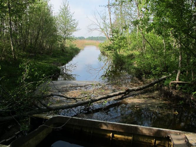 Maakond: Tartumaa Veekogu nimi: Soitsjärv Pildistamise aeg: 20. mai 2011 Pildistaja: H. Timm Pildistamise koht: teadmata Asimuut: