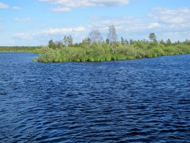 Maakond: Tartumaa Veekogu nimi: Soitsejärv Pildistamise aeg: 28. mai 2012 Pildistaja: H. Timm Pildistamise koht: teadmata Asimuut: